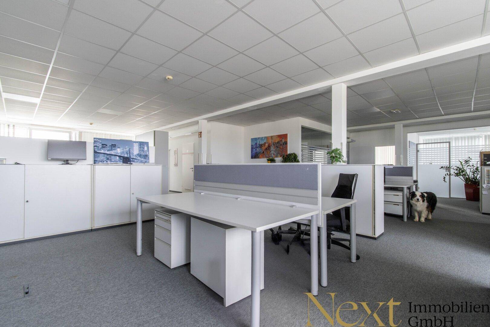 Büro II