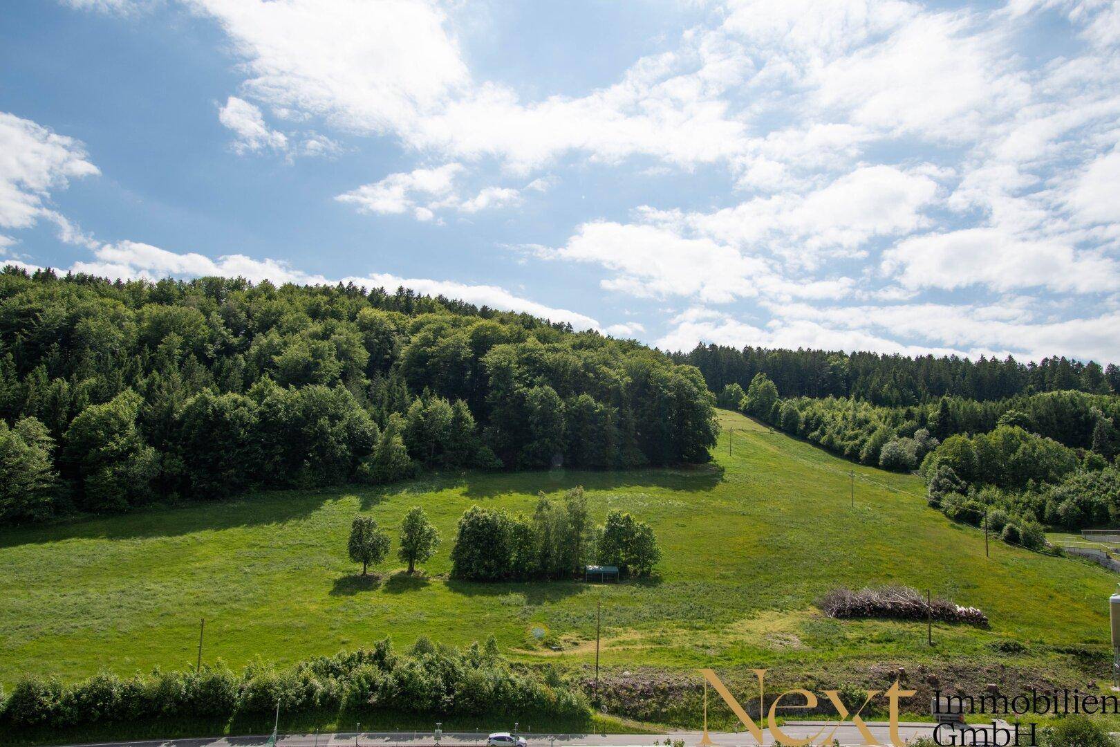 Ausblick Terrasse II