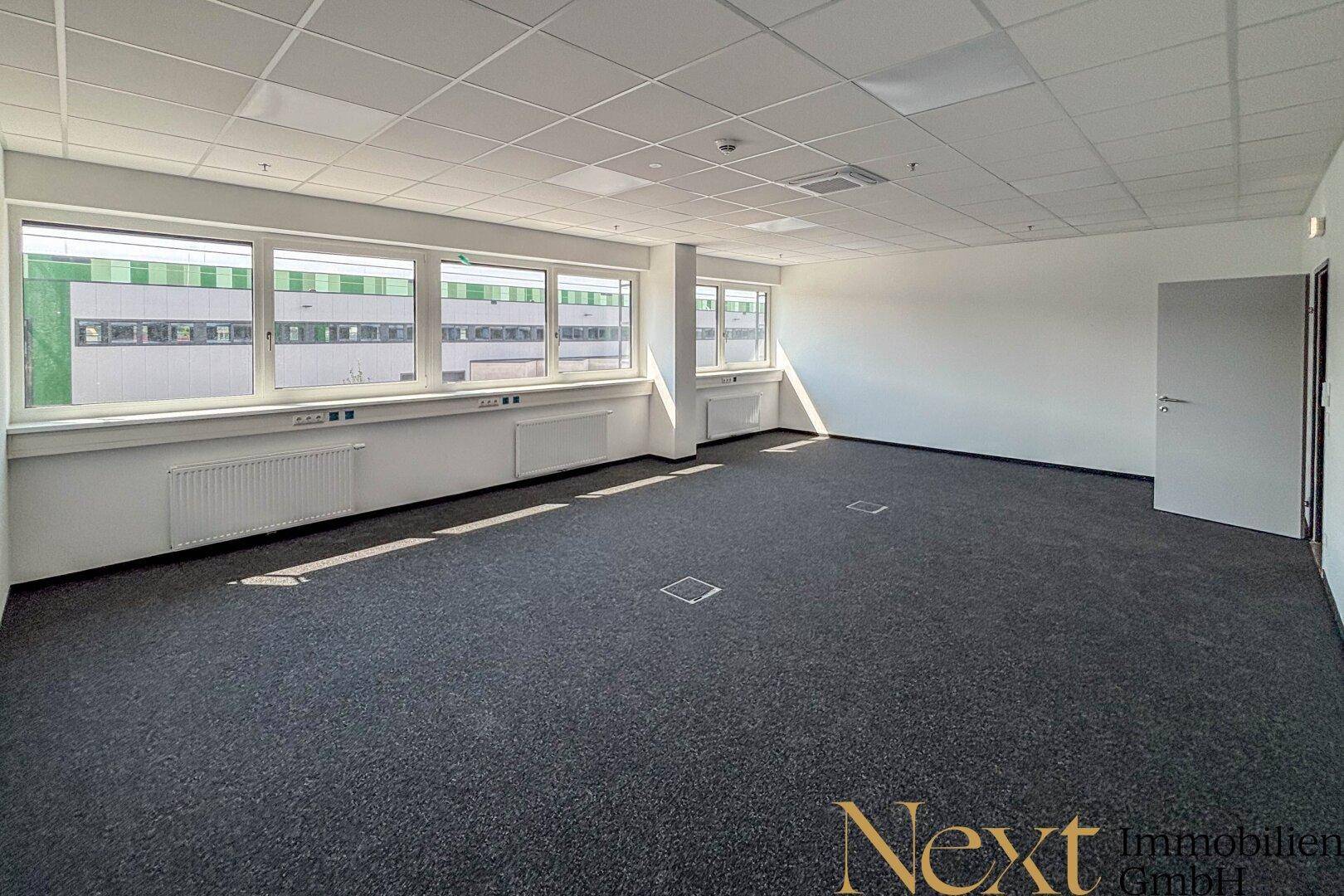 Helles, leeres Büro mit Teppichboden, großen Fenstern und abgehängter Decke.