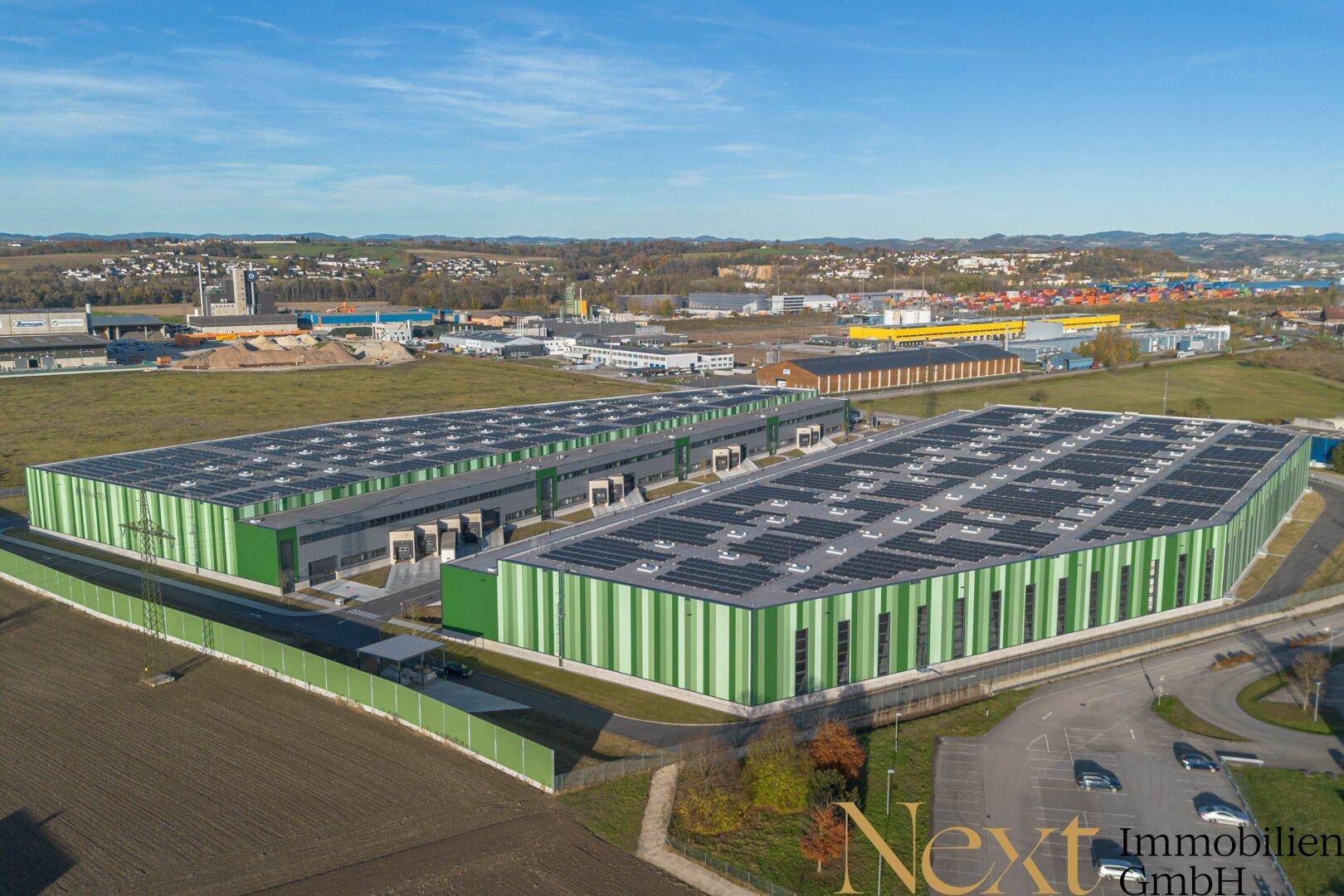 NEUBAU - Lager-/Produktionshalle (optional mit Büroflächen) in Enns/Ennshafen zu vermieten! - Ansicht 2