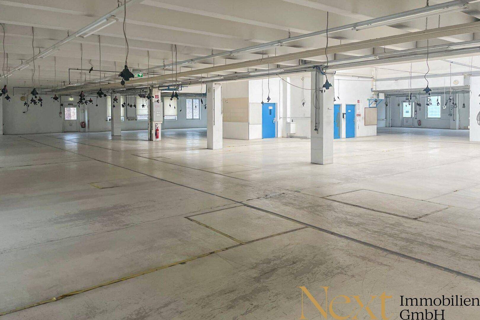 Weitläufiger, leerer Gewerberaum mit Betonboden, Säulen und blauen Türen, bereit zur individuellen Gestaltung.