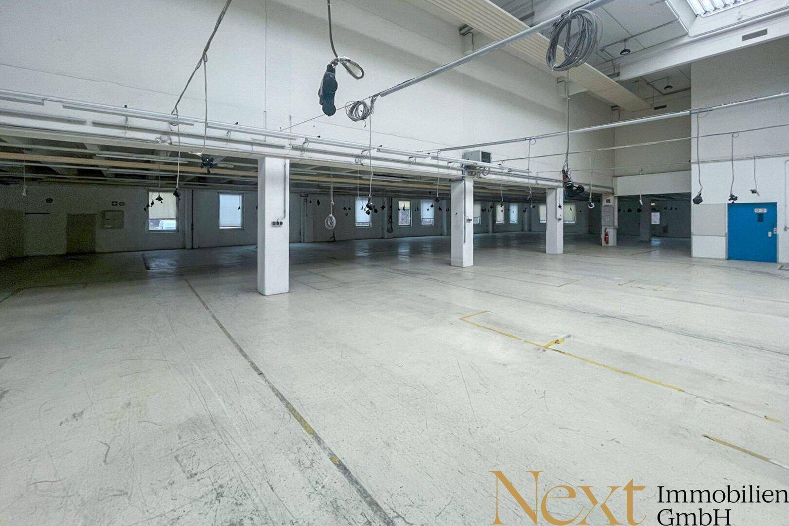 Heller, offener Industrieraum mit vielen Fenstern, Betonboden und sichtbaren Installationen an der Decke.