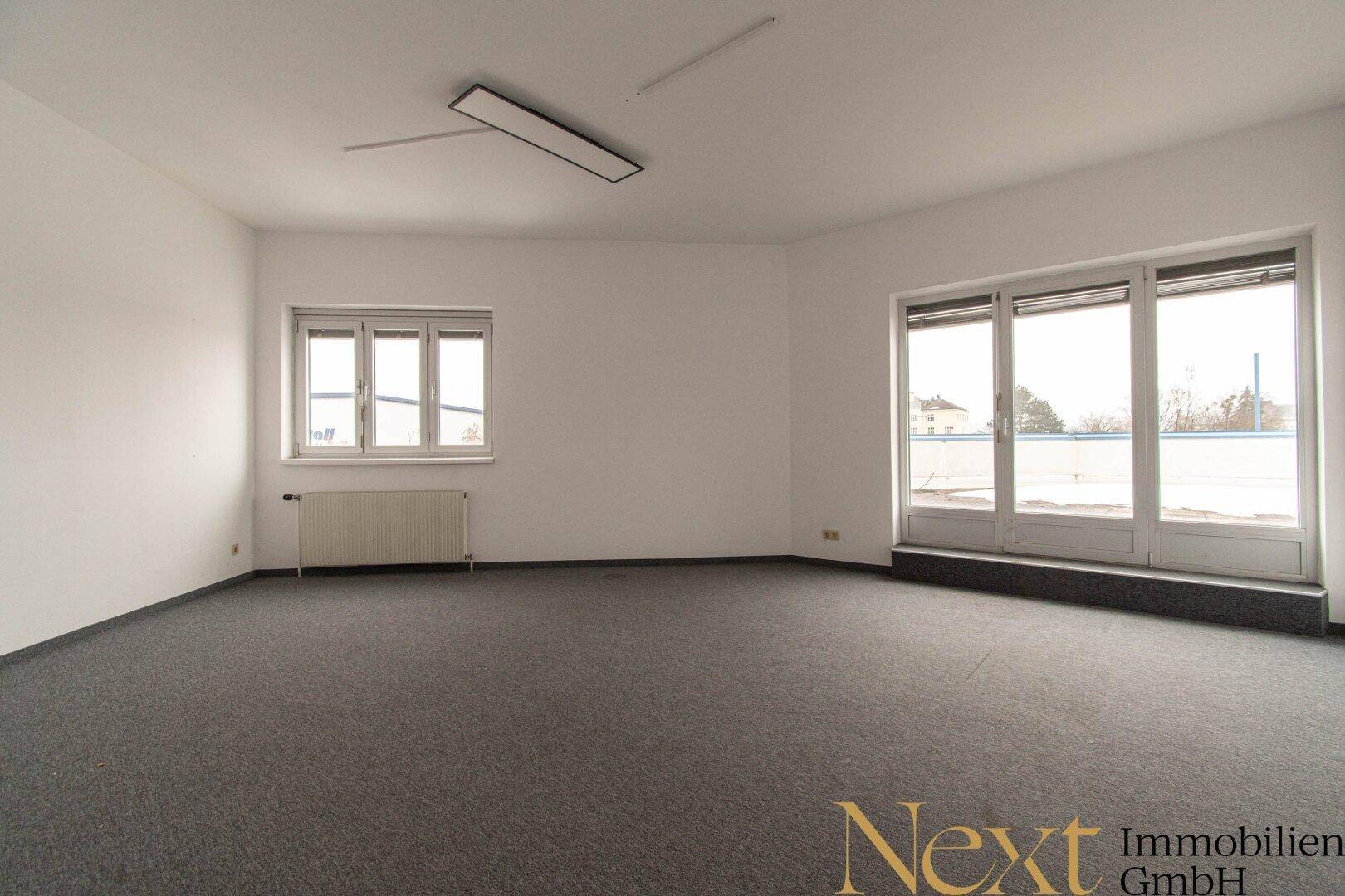 Heller Raum mit grauem Teppichboden, weißen Wänden und großen Glastüren zu einem Außenbereich.