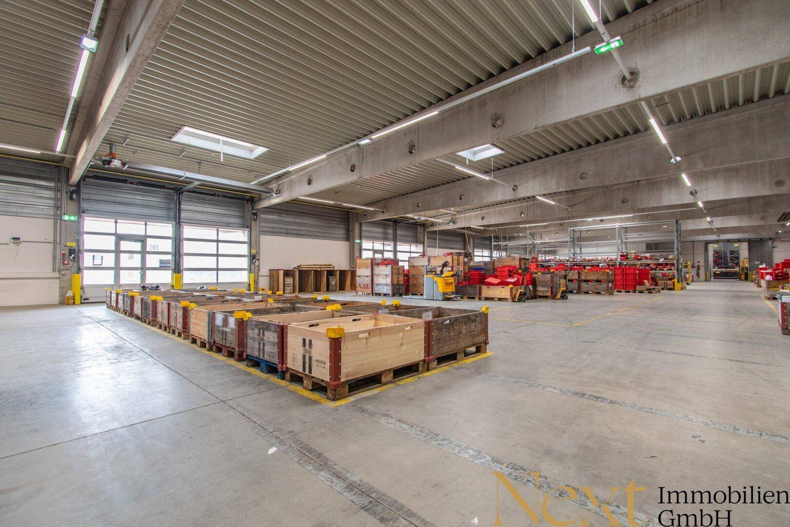 Weitläufige Lagerhalle mit Rolltoren, Betonboden und Paletten für den Warentransport, ideal für Logistik.