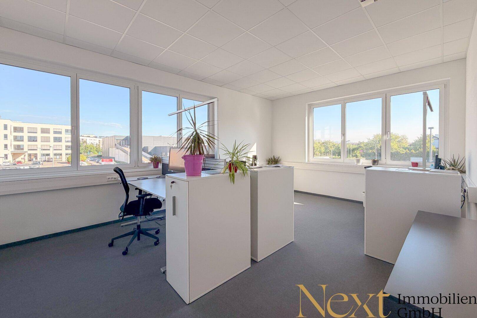 Helles Büro mit vielen Fenstern, Blick nach draußen und mehreren Arbeitsplätzen.