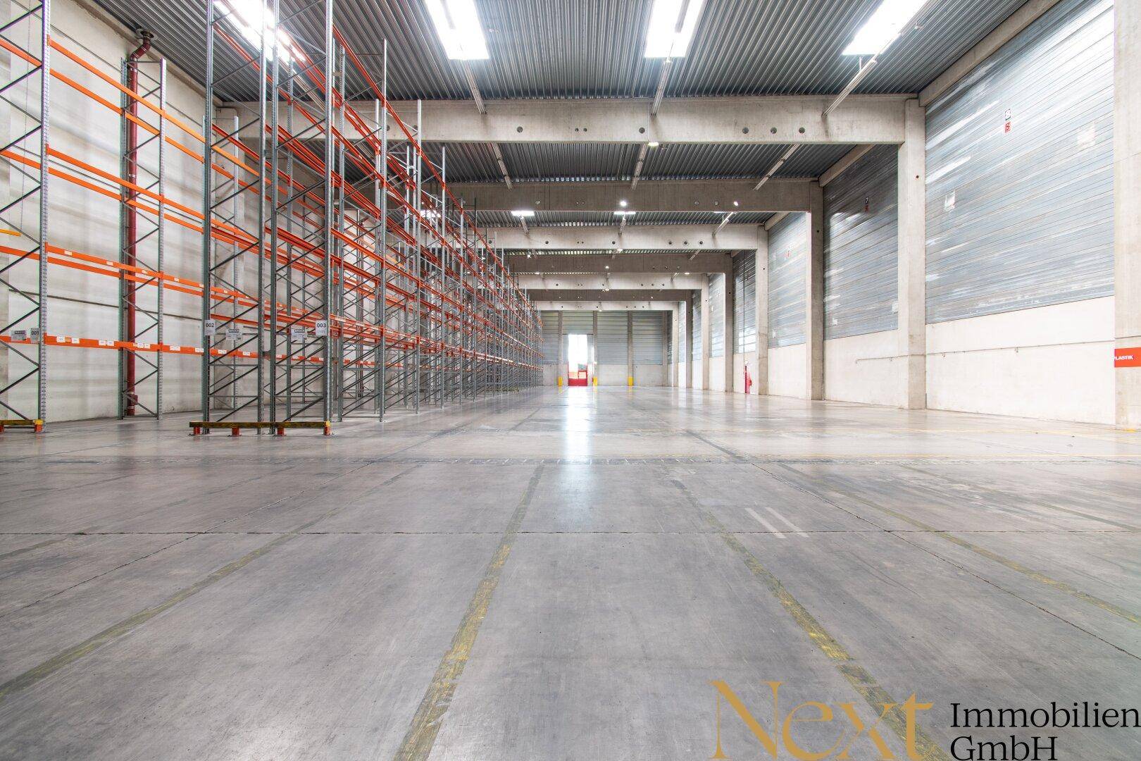 Weitläufige, leere Lagerhalle mit hohen Decken, Betonboden und Tageslichteinfall, ideal für Logistik.