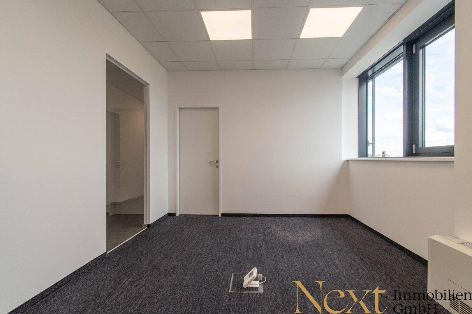 Leeres Büro mit dunklem Teppichboden, großen Fenstern und weiß gestrichenen Wänden.
