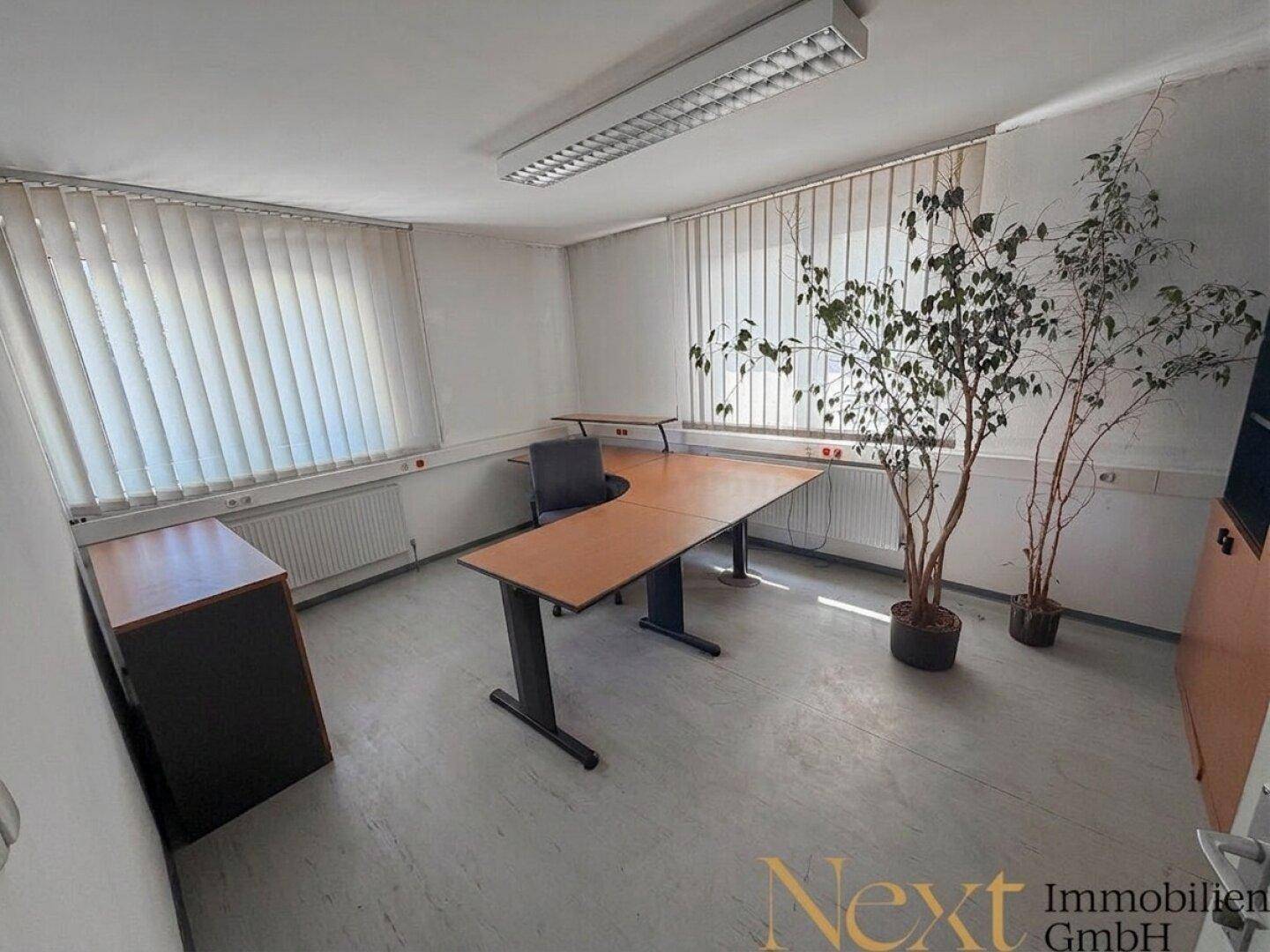 Geräumiges Büro mit einem großen Eckschreibtisch, zwei Pflanzen und Fenstern mit vertikalen Jalousien.