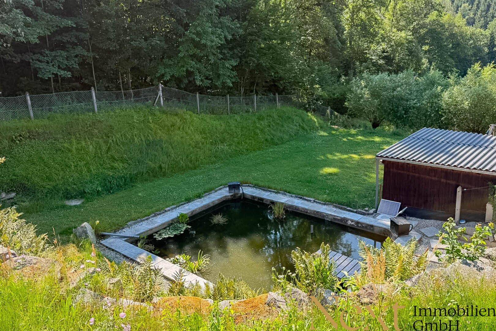 Natürlicher Teich mit Holzschuppen und umgebender grüner Landschaft am Waldrand des Grundstücks.