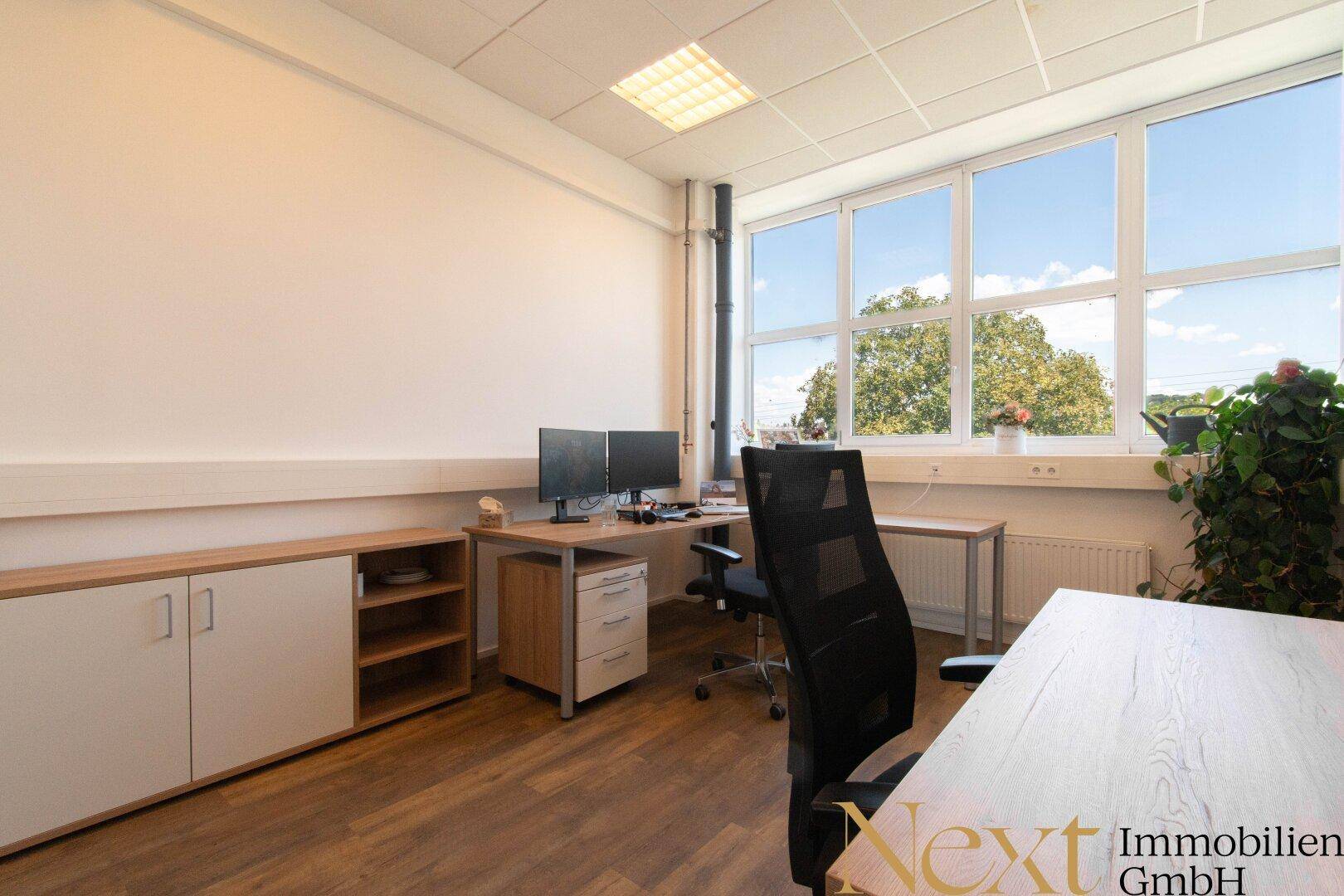 Modernes Büro mit Holzboden, Schreibtischen, Bürostühlen und großen Fenstern mit Blick ins Grüne.