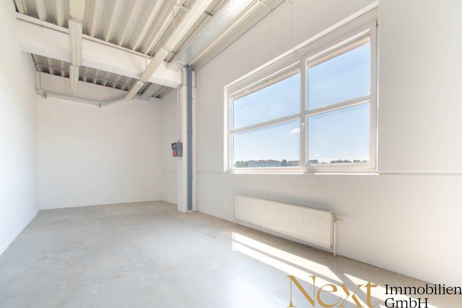 Heller, leerer Raum mit Betonboden, hohen Decken und einem großen Fenster, das viel Sonnenlicht hereinlässt.