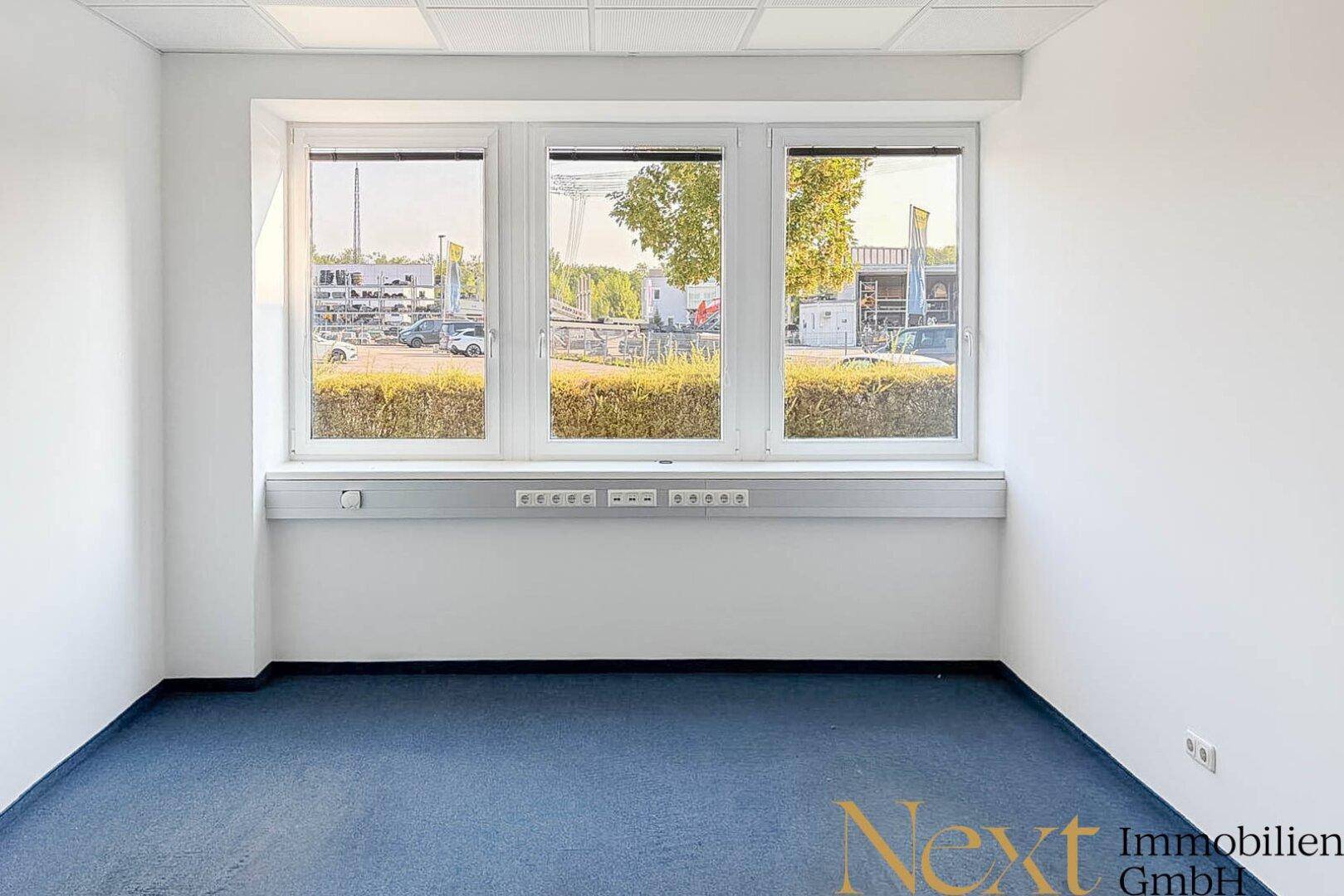 Helles Büro mit blauer Teppichboden, weißen Wänden und drei großen Fenstern mit Blick nach draußen.