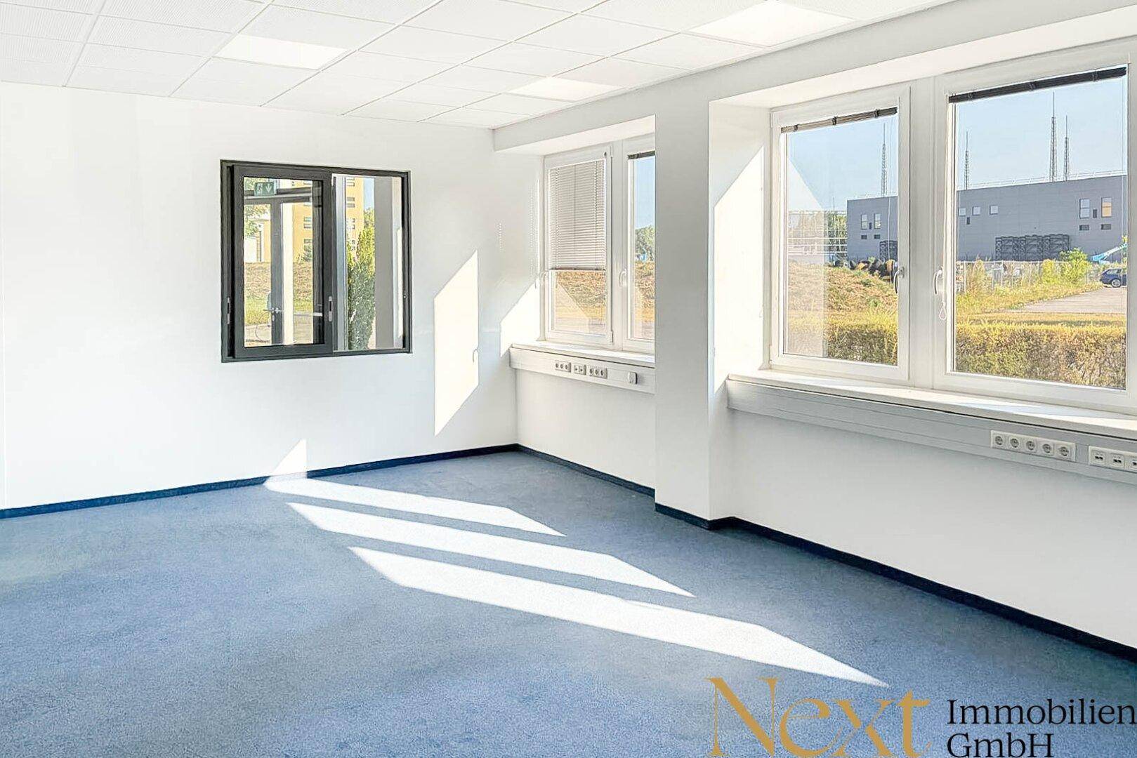 Geräumiges Büro mit blauem Teppichboden, weißen Wänden und mehreren Fenstern für viel Tageslicht.