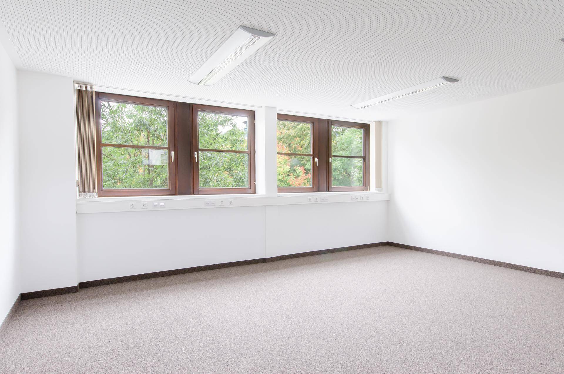 Ein leerer Büroraum mit Teppichboden und großen Fenstern, die einen Blick ins Grüne bieten.