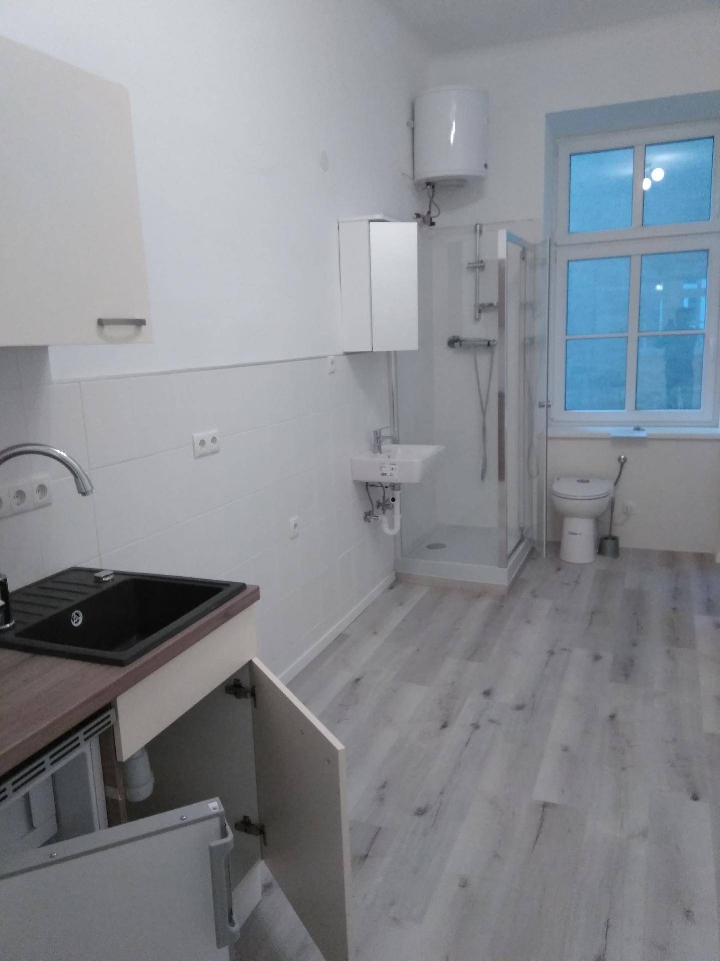 Kombinierter Wohnbereich mit Kochnische und integriertem Badezimmer in einem Studio-Apartment.