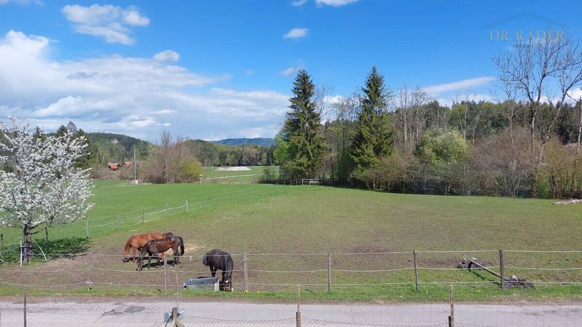 Weitläufige grüne Landschaft mit grasenden Pferden, Bäumen und Bergen unter blauem Himmel.