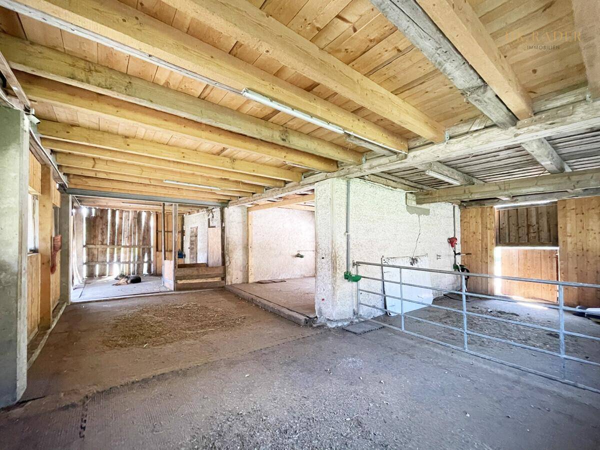 Geräumiger Innenraum eines Holzgebäudes mit sichtbaren Balken und Betonboden.