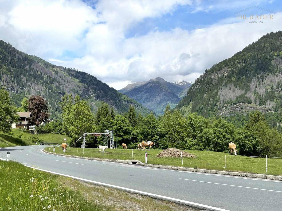 Blick vom Parkplatz