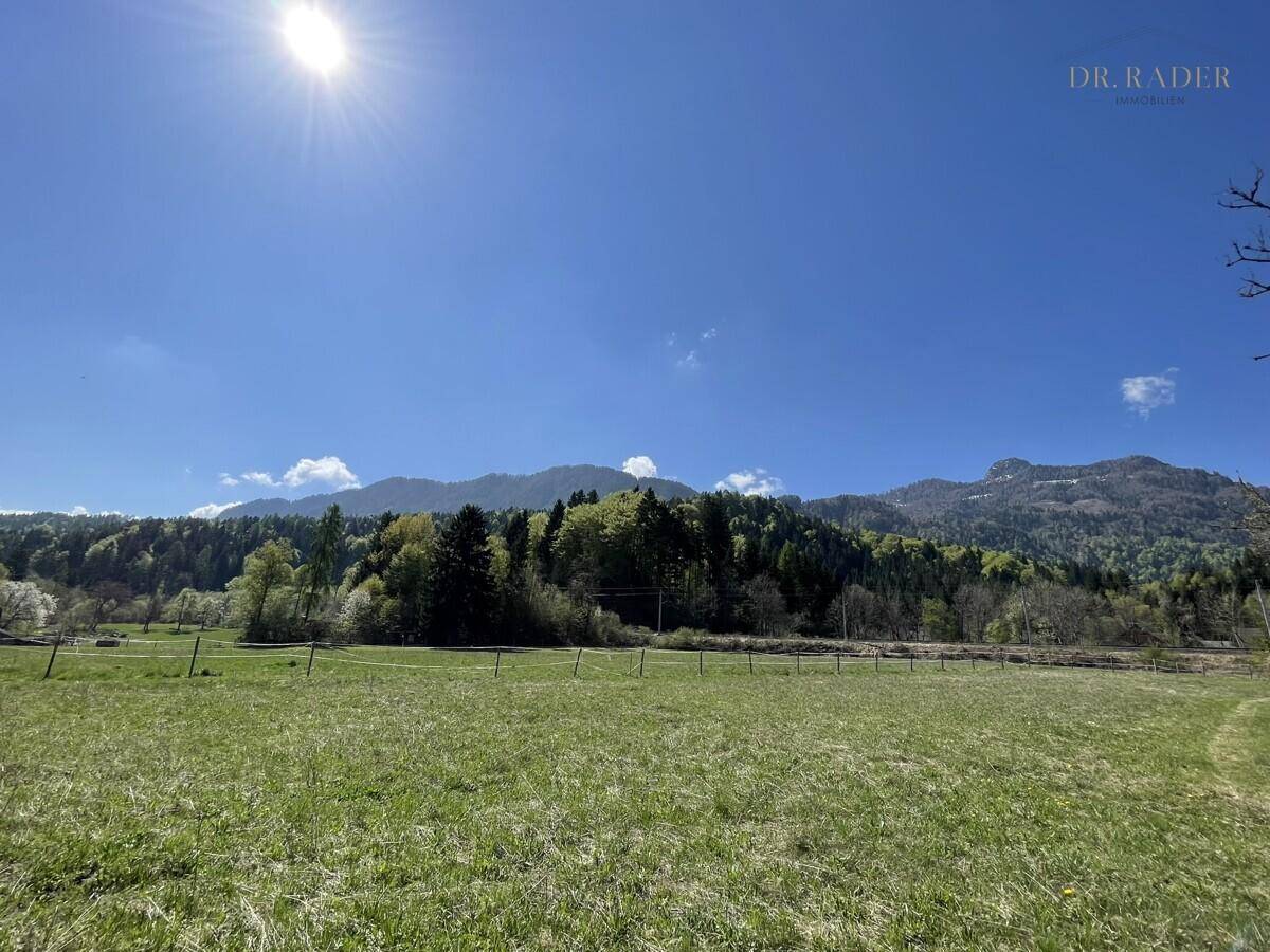 Malerische Landschaft mit weiten Wiesen und bewaldeten Bergen unter klarem Himmel.