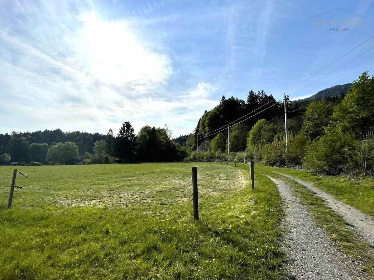 Ländlicher Feldweg führt durch grüne Wiesen und Wälder unter einem weiten Himmel.