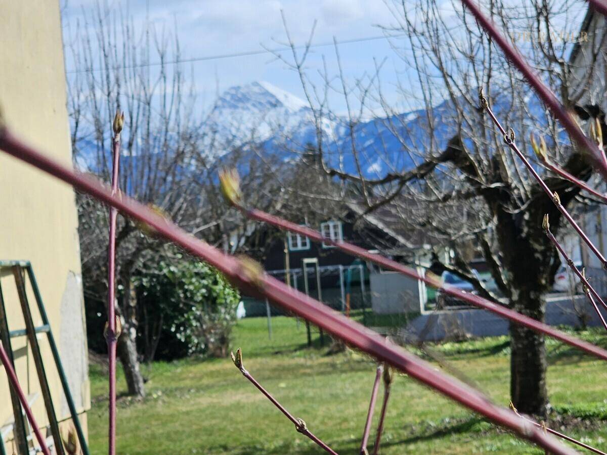 Zweige im Vordergrund mit klarem Blick auf die majestätischen Berge in der Ferne.