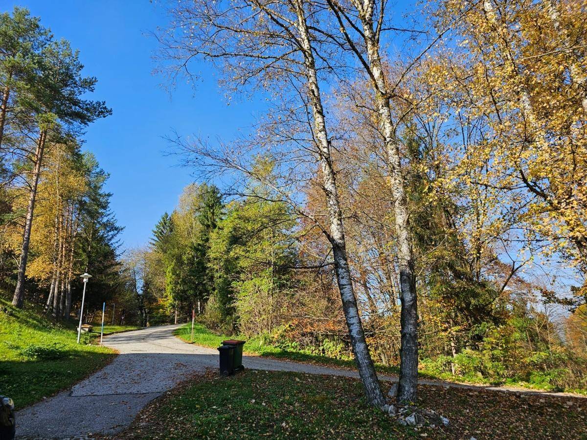 Aussicht vor dem Haus