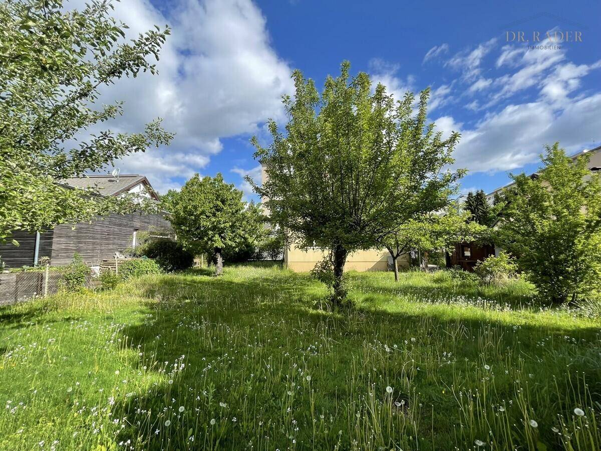 Weitläufiger Garten mit üppigem Grün und verschiedenen Bäumen unter strahlend blauem Himmel.