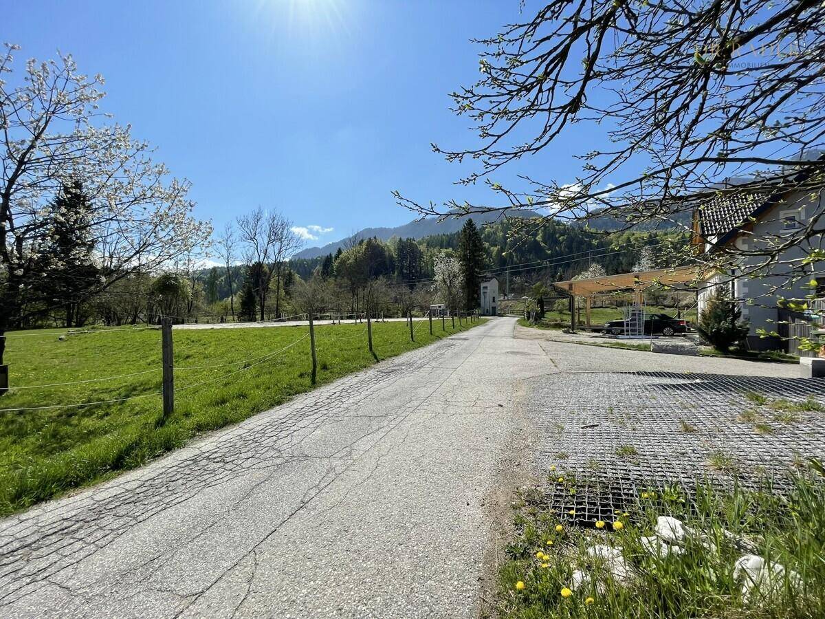 Asphaltierte Straße in ländlicher Umgebung mit grünen Wiesen und Bäumen.