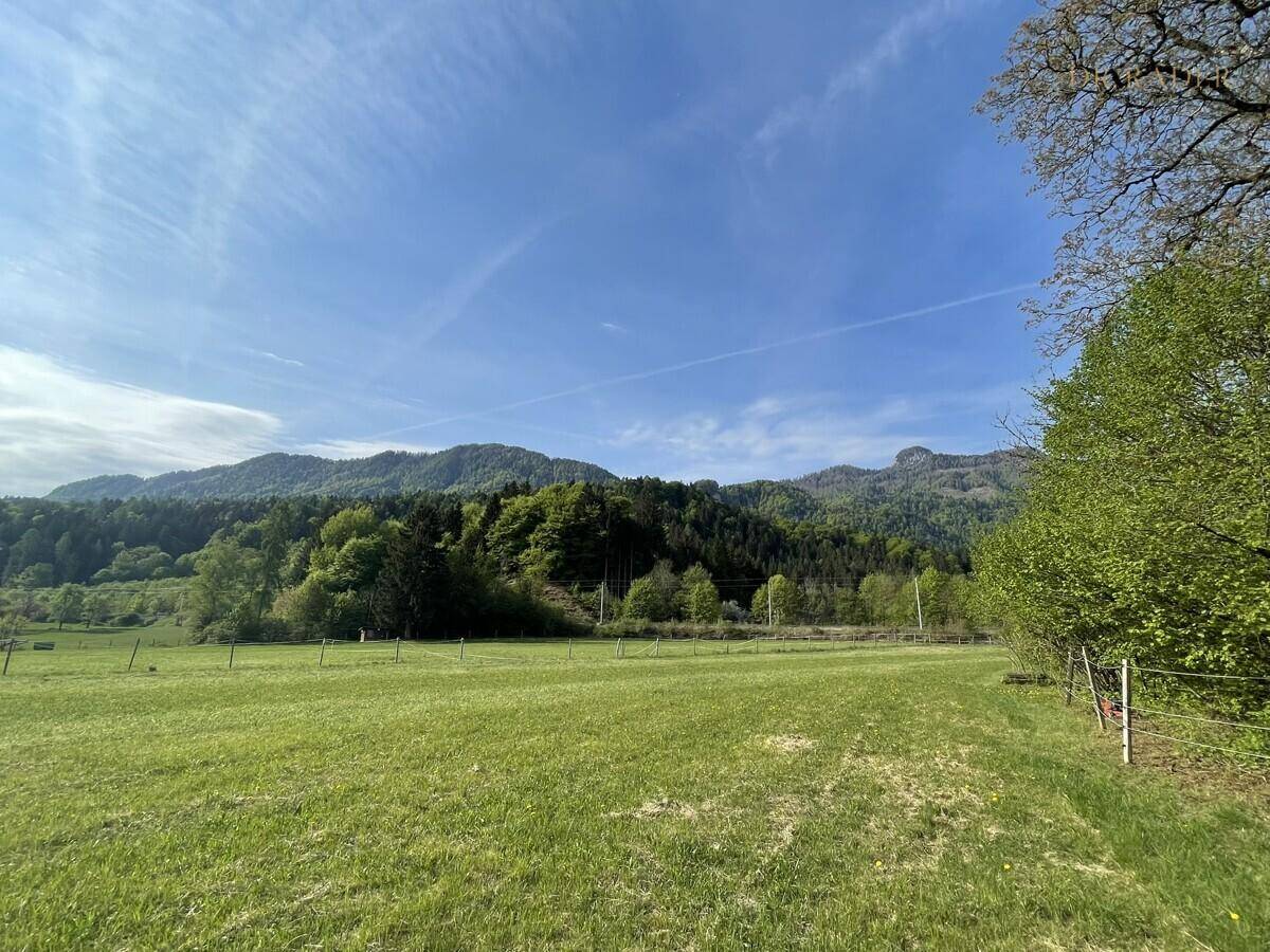 Ruhige Naturlandschaft mit grünen Wiesen und bewaldeten Bergen unter blauem Himmel.
