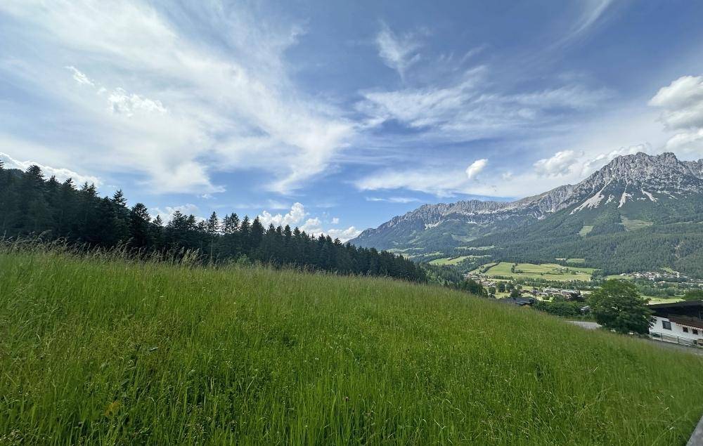 Weite grüne Wiese mit Waldrand und Bergen im Hintergrund unter blauem Himmel.