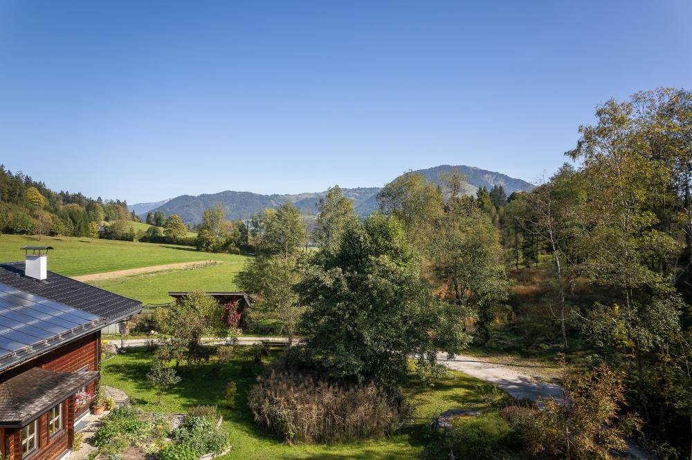 Weitläufiger Blick über grüne Wiesen und Wälder mit sanften Hügeln unter klarem, blauem Himmel.