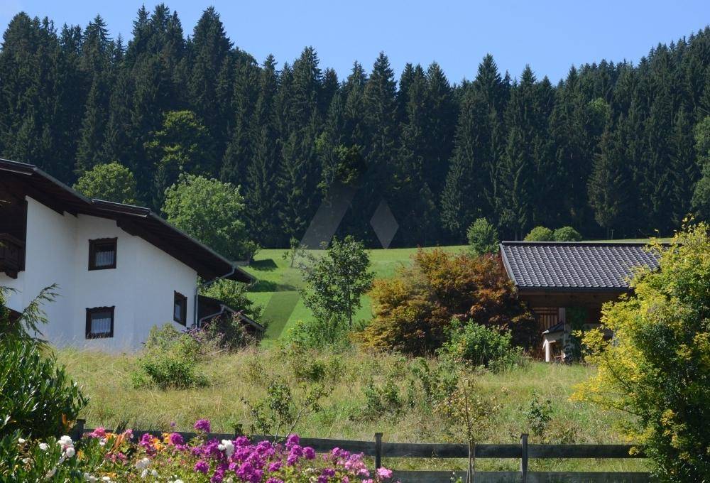 Zwei Häuser in einer grünen Hügellandschaft umgeben von Wald und Blumen.