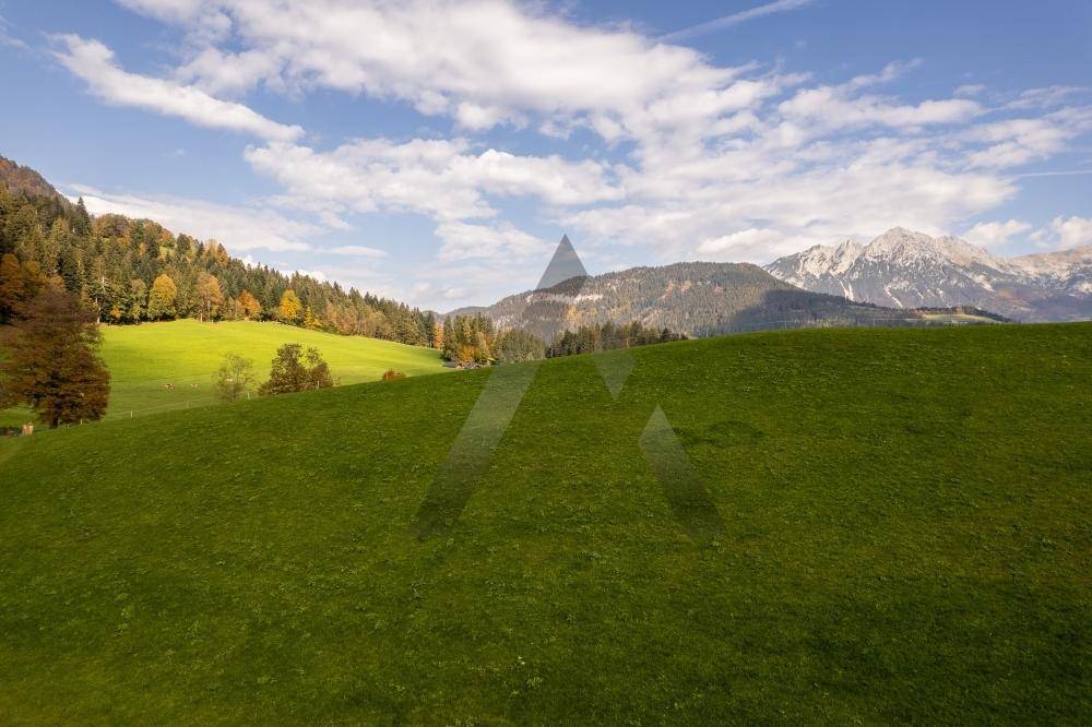 Malerische Hügellandschaft mit grünen Wiesen, Wäldern und schneebedeckten Berggipfeln im Hintergrund.