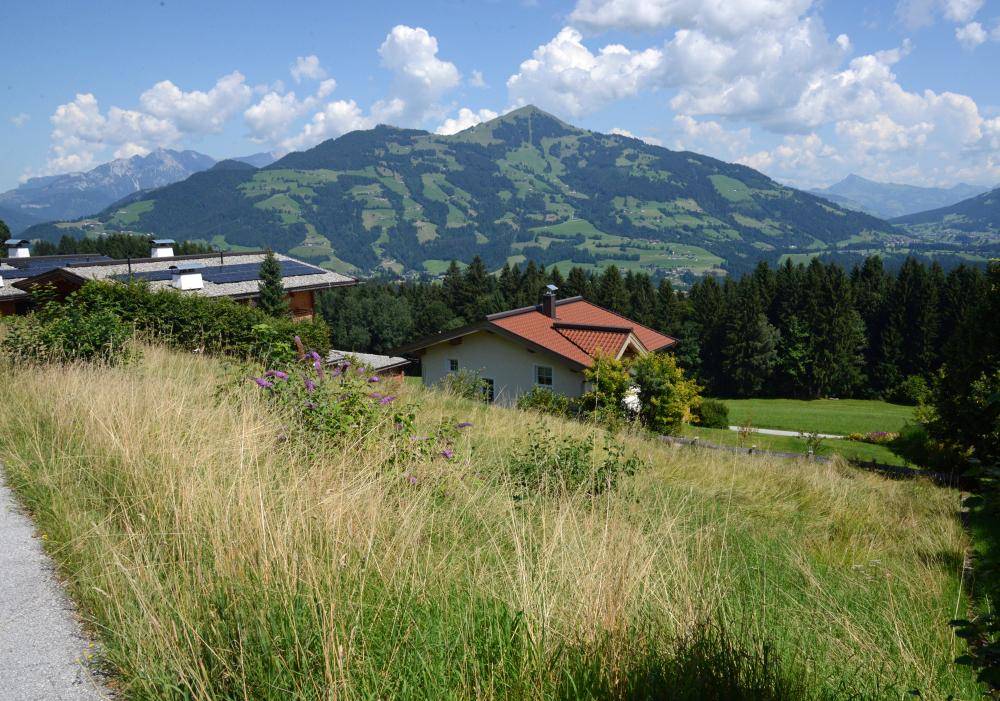 Haus in alpiner Landschaft mit Bergblick und grünen Wiesen unter blauem Himmel.