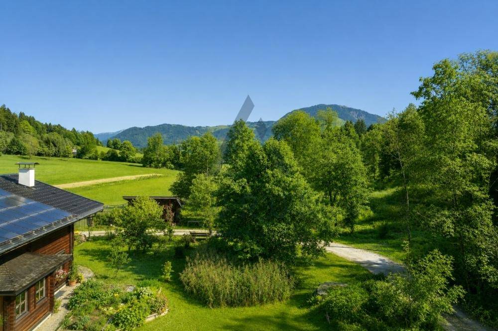 Idyllischer Gartenbereich mit Bäumen, Sträuchern und einem Naturweg, angrenzend an grüne Wiesen.