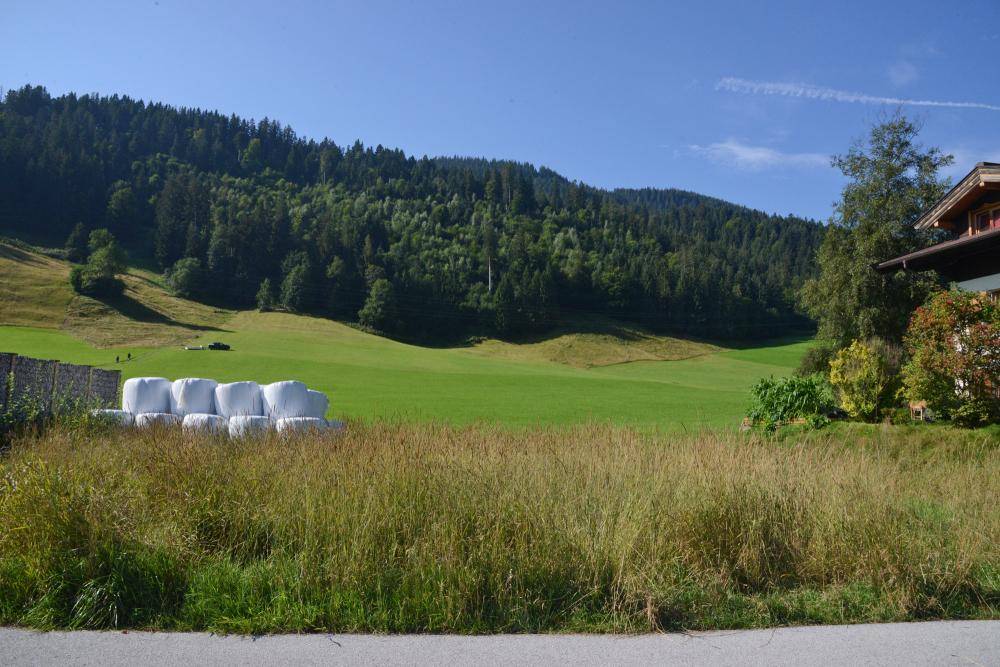 Weite grüne Wiesen mit Wald im Hintergrund und Heuballen am Straßenrand.