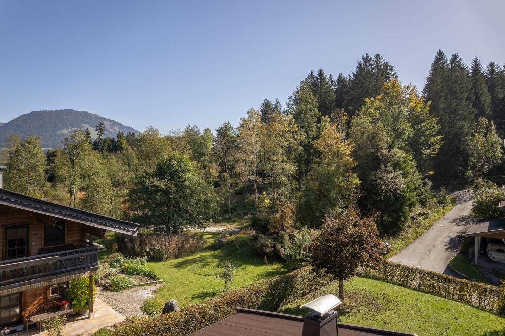 Blick von einem Balkon auf eine grüne Landschaft mit Bäumen und bewaldeten Hügeln in der Ferne.