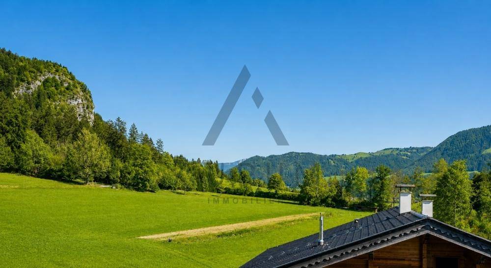Malerische Landschaft mit weiten grünen Wiesen, dichten Wäldern und einer Bergkulisse am Horizont.