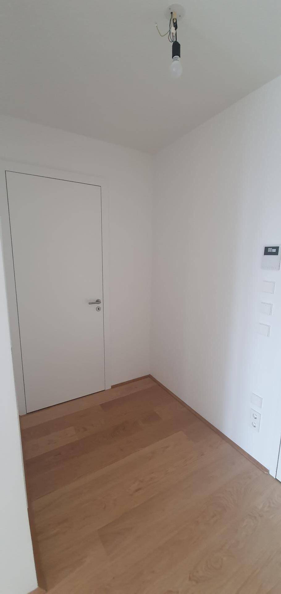 Heller Flurbereich mit Holzboden und einer modernen weißen Tür.