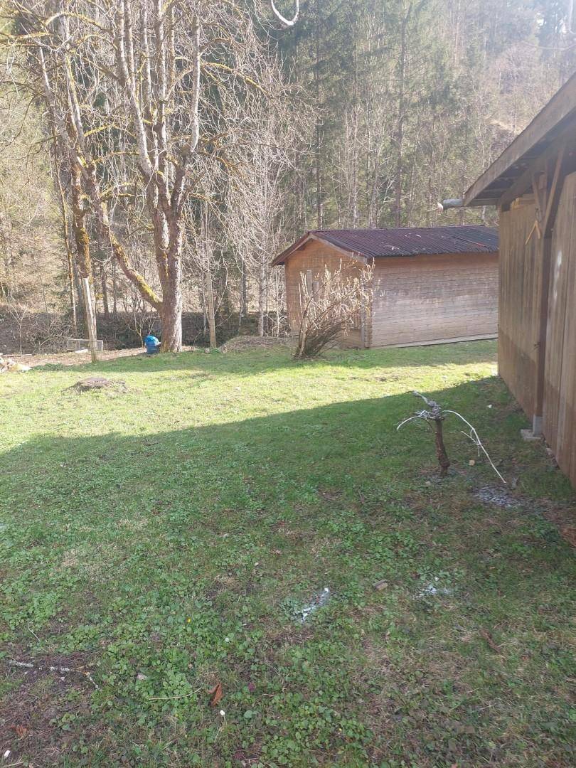 Grüner Gartenbereich mit Rasenfläche, Bäumen und einem kleinen Holzschuppen im Hintergrund.