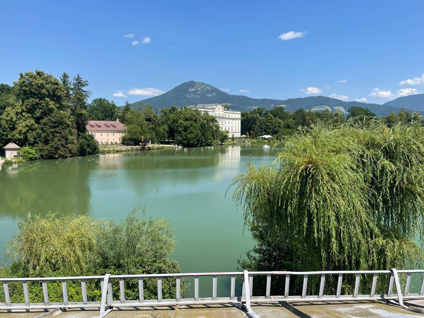 Foto 20.06.25, 14 46 18