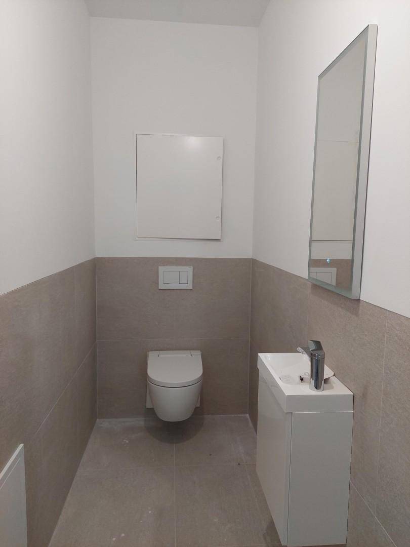 Separates Gäste-WC mit wandhängender Toilette, kleinem Waschbecken und modernem Spiegel.