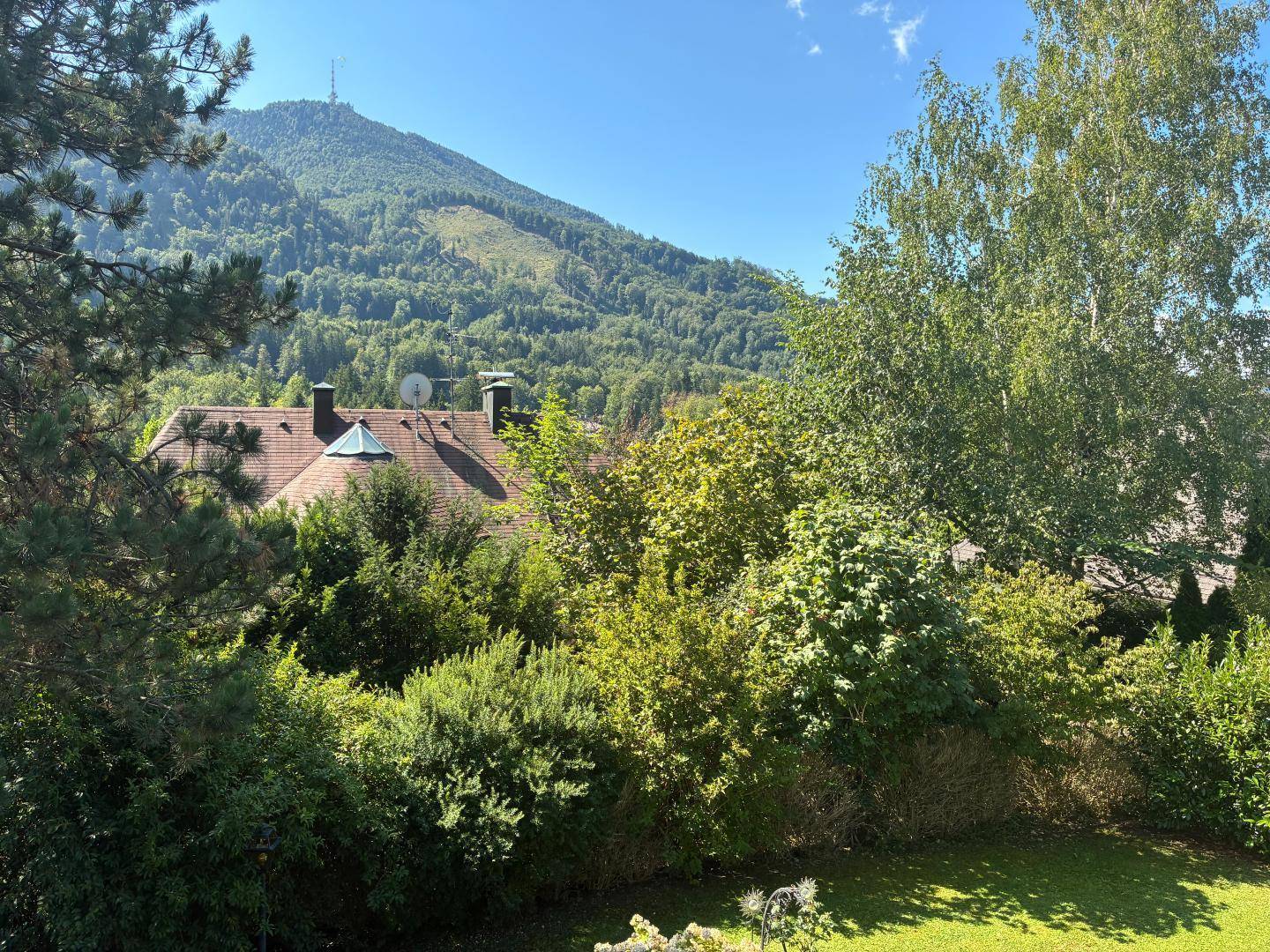 Grüner Gartenbereich mit Bäumen und Blick auf ein Haus vor einer beeindruckenden Bergkulisse.