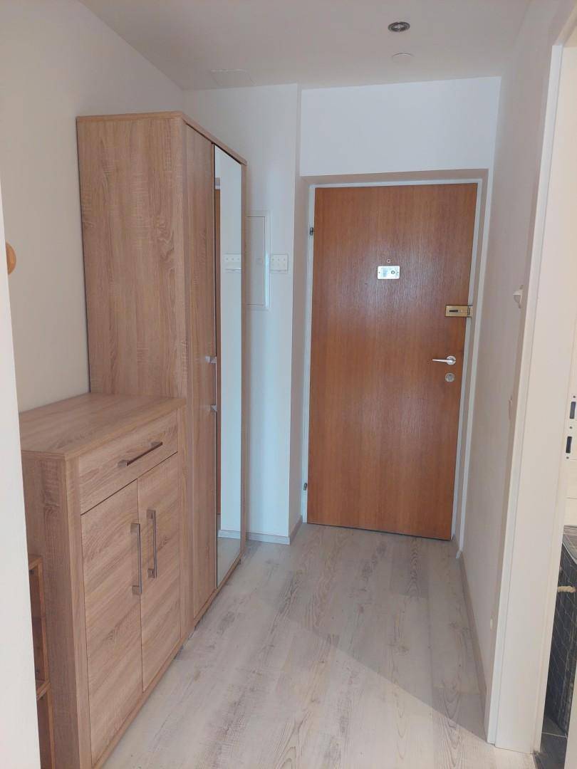 Funktionaler Eingangsbereich mit Holzschrank, Spiegel und heller Holztür.