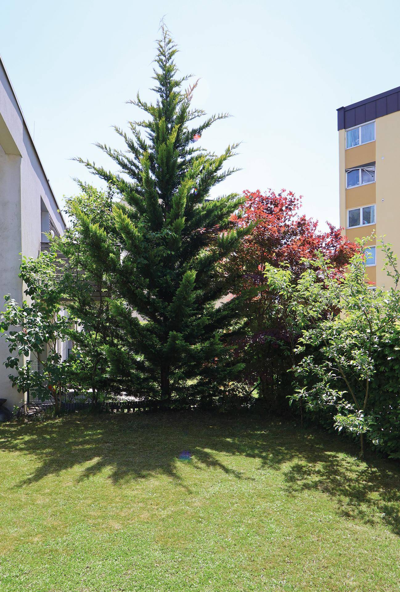 Natur im eigenen Garten