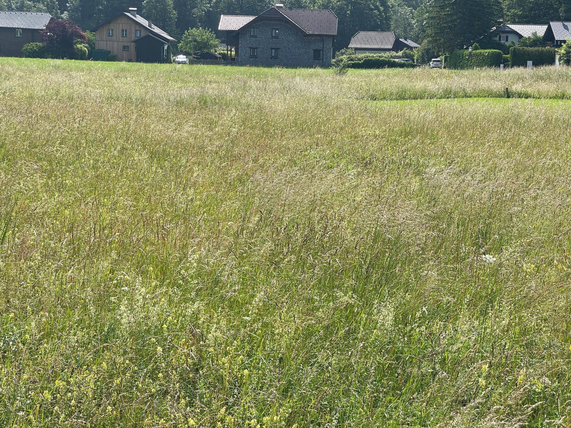 Ansicht Süd