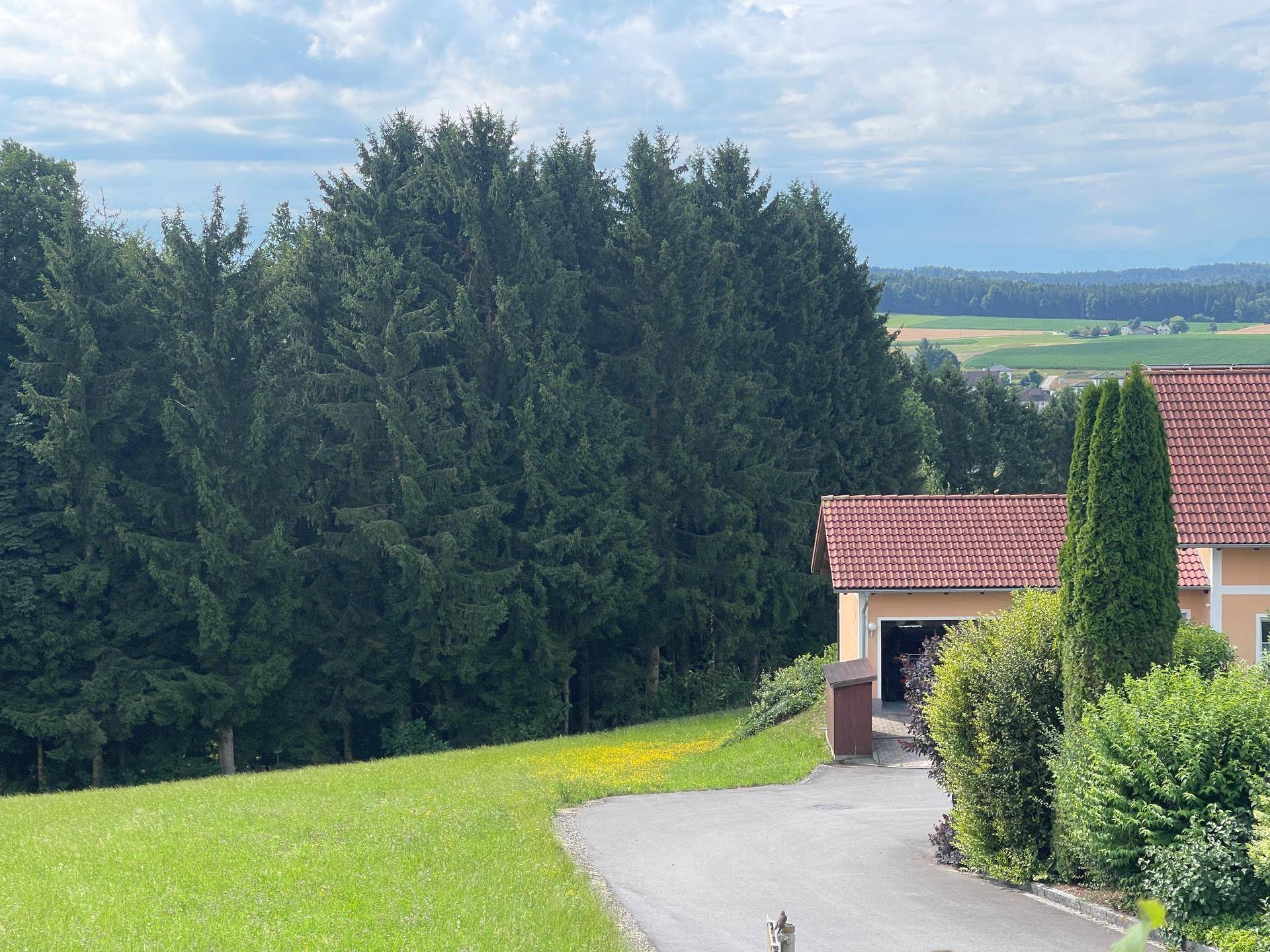 Aussicht Süd