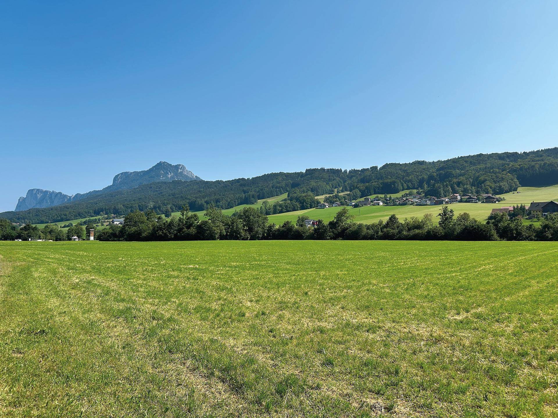 naturnahe Umgebung