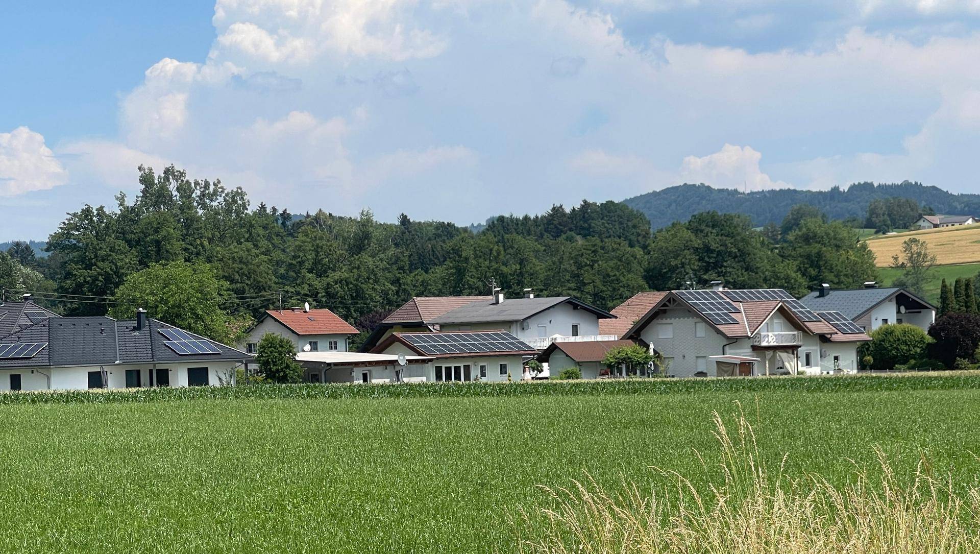 Ländliche Umgebung mit mehreren Wohnhäusern, grünen Feldern und bewaldeten Hügeln im Hintergrund.