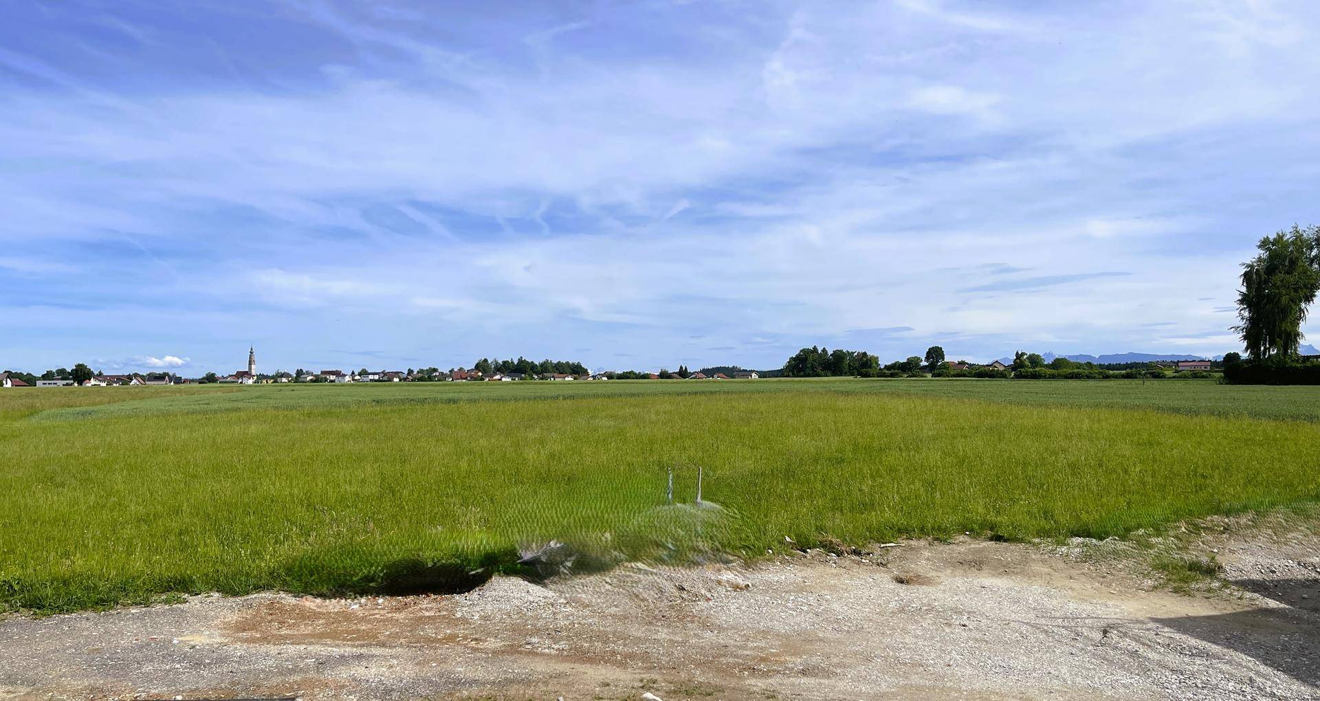 Weitläufige grüne Felder mit Fernblick auf eine Siedlung und Berge am Horizont unter blauem Himmel.